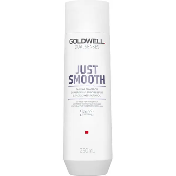 Goldwell DUALSENSES JUST SMOOTH Taming Shampoo 250ml Angebot