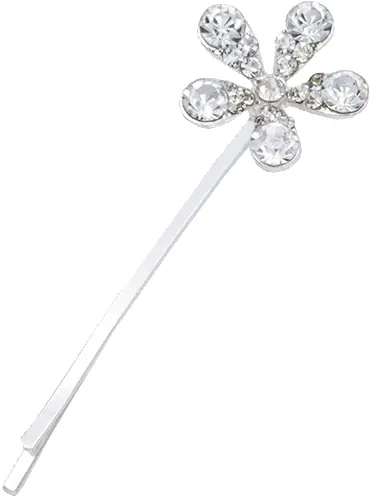 Mega-Angebot Haarklemmen Strassblume