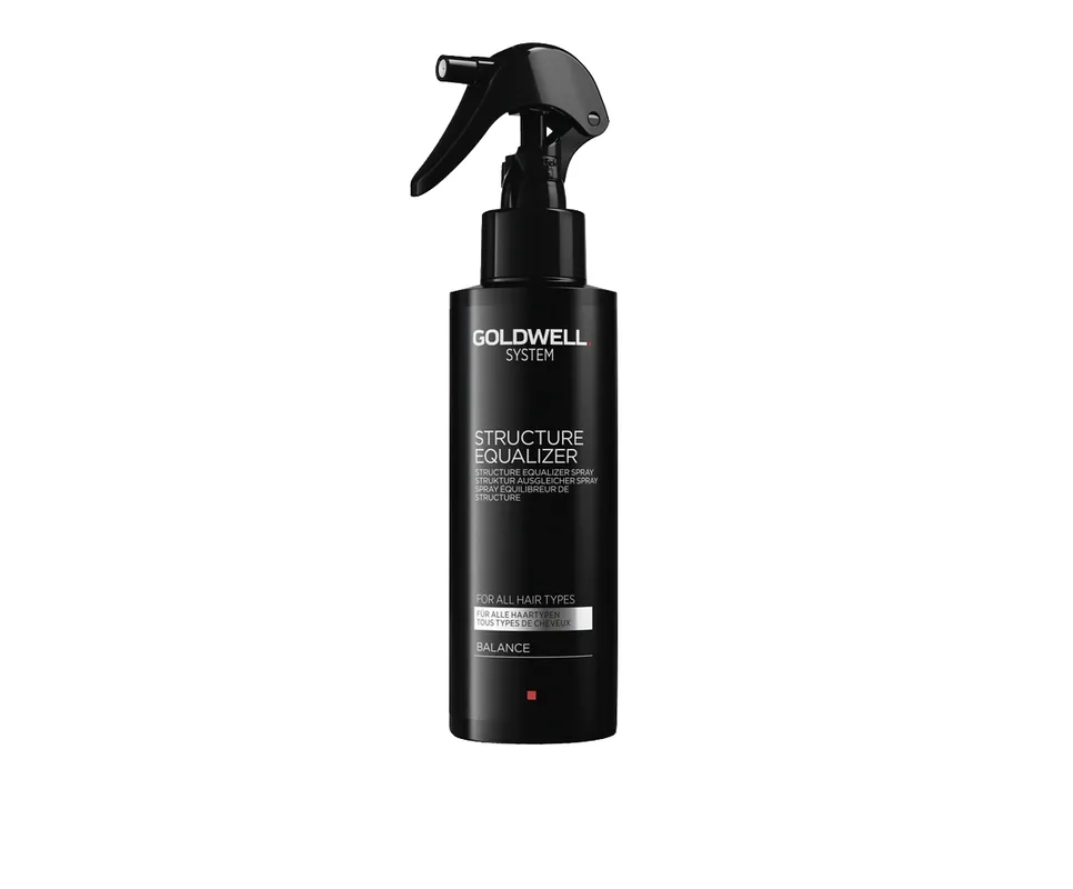 Direktkauf Goldwell System Structure Equalizer Spray