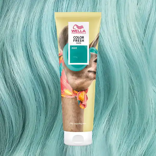 Wella Color Fresh Mask Mint Schneller Versand