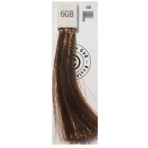 Sonderaktion Goldwell Topchic 6GB dunkelblond goldbraun 250 ml