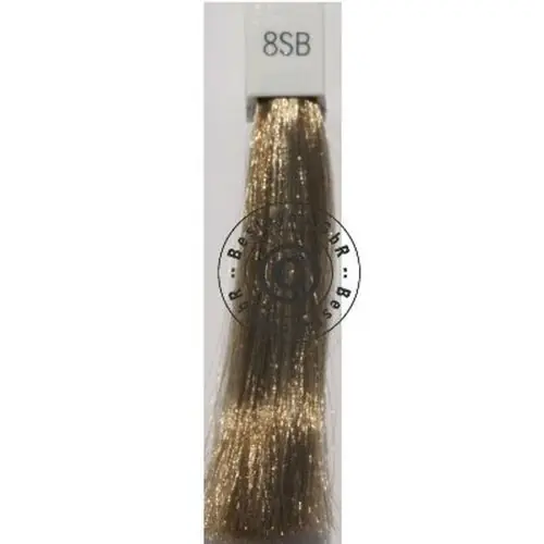 Goldwell Topchic 8SB silver blonde 250 ml Sofort Bestellen