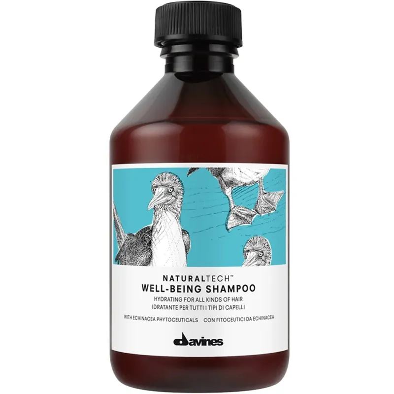 Schnäppchen Davines Naturaltech Well-Being Shampoo 250 ml