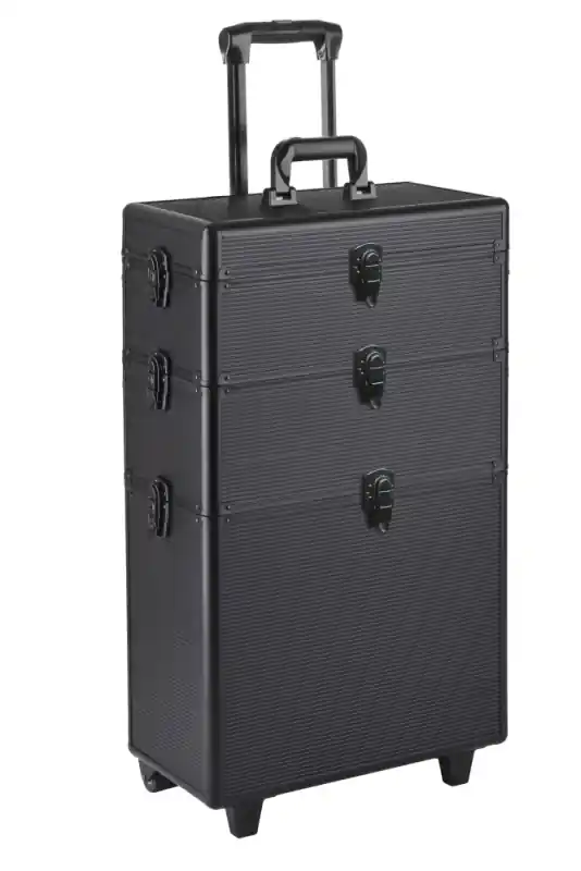 Billig Efa Rollkoffer BLACK ASSIST