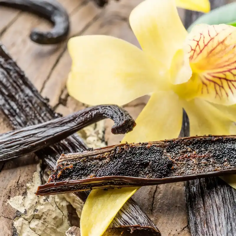 Sale Island vanilla - Candle fragrance oil
