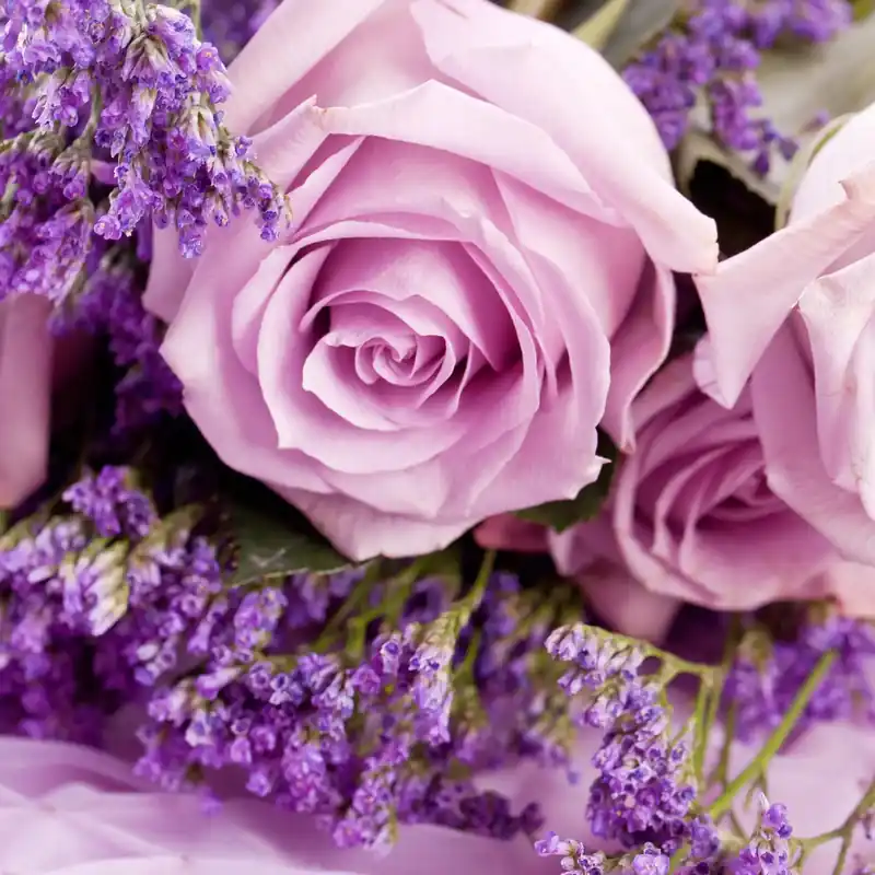 Online Kaufen Rose lavender - Candle fragrance oil