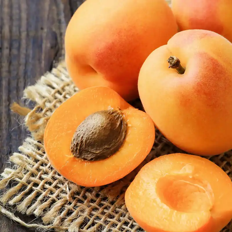 Apricot Ornat - Candle fragrance oil Finale Aktion