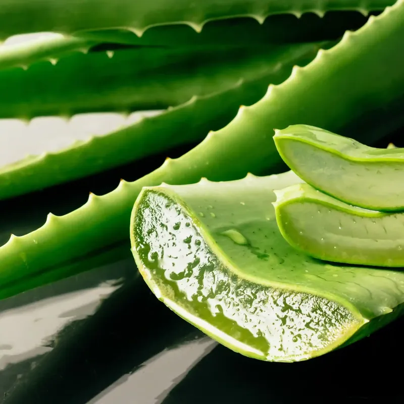 Begrenztes Angebot Aloe vera soap - Liquid soap fragrance