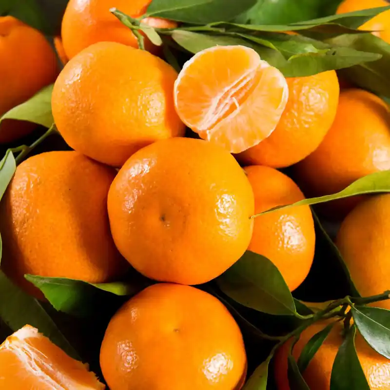 Meistverkauft Mandarin soap - Liquid soap fragrance