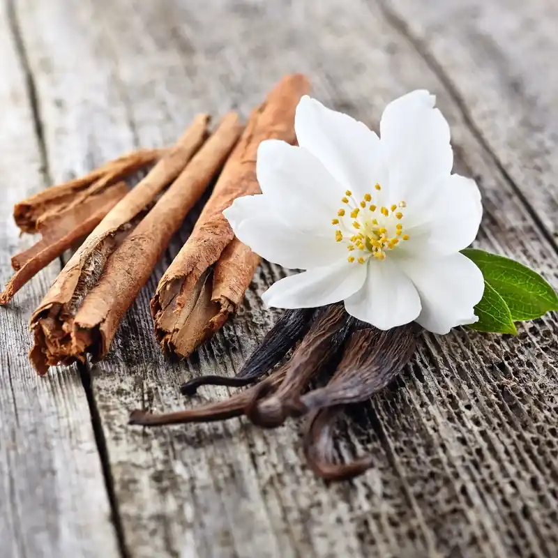 Online Kaufen Vanilla cinnamon - Candle fragrance oil