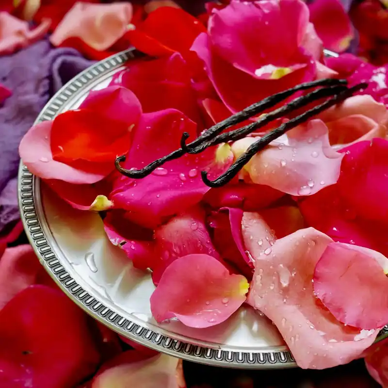 Vanilla rose - Candle fragrance oil Finale Aktion