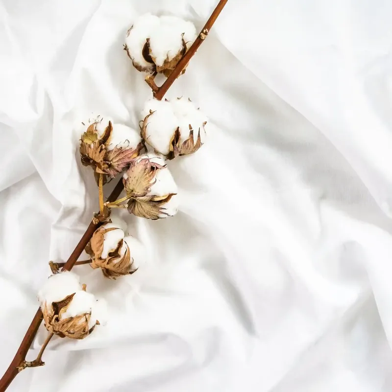 Cashmere flower - Laundry fragrance Rabatt
