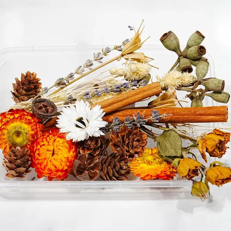 Ausverkauf Dried flowers - Spicy bouquet