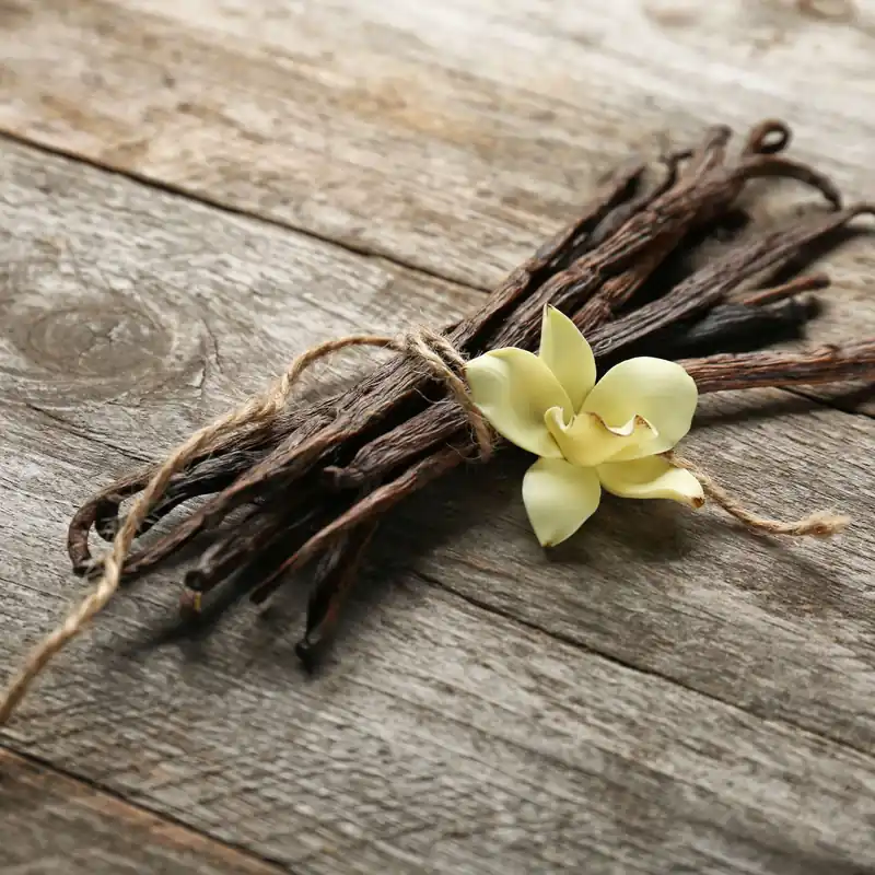 Preisreduziert Vanilla pod - Mist fragrance