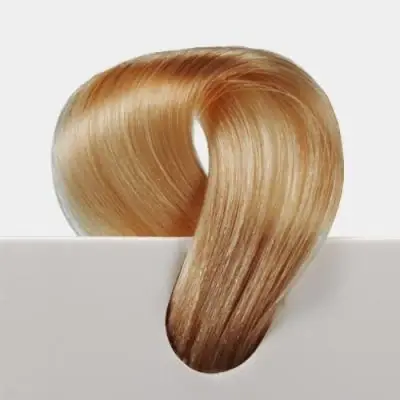 L.A. Extensions Haarverlängerung Mittelblond Gold 31 Heißes Angebot